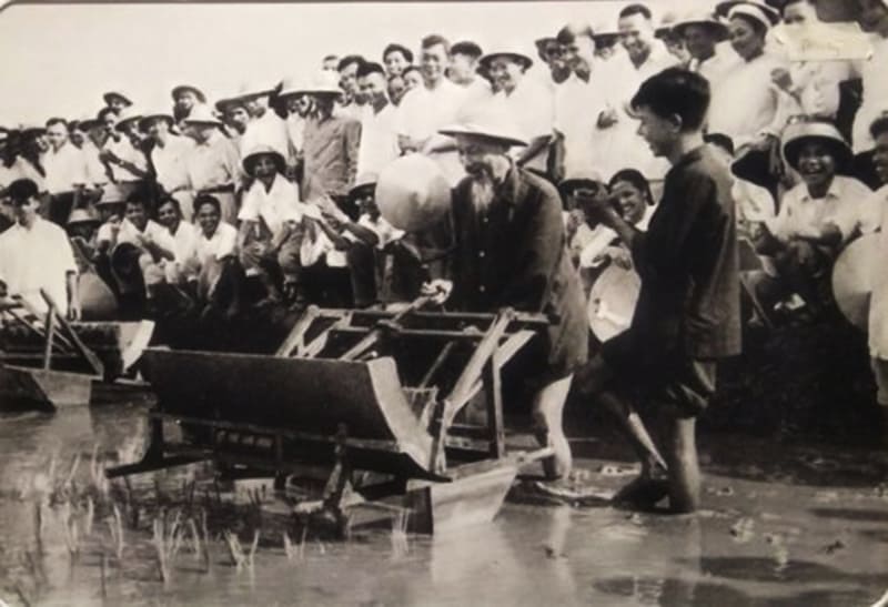Hình ảnh Bác Hồ tham gia làm ruộng cùng bà con