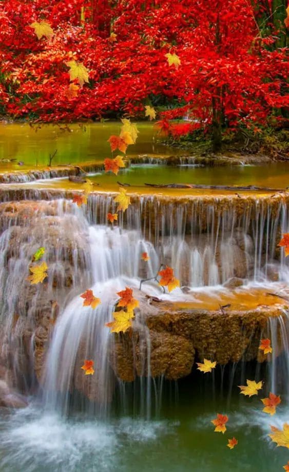 Hình nền điện thoại khung cảnh thác nước đẹp như tiên cảnh