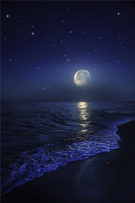 Hình ảnh bãi biển đẹp lúc trăng lên làm hình nền điện thoại