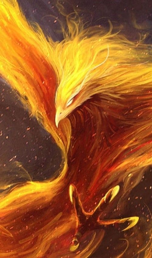 Hình nền điện thoại chú chim chú chim phượng hoàng tỏa sắc vàng óng ánh tuyết đẹp