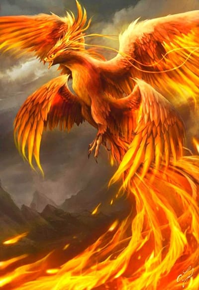 Hình ảnh tuyệt đẹp về chú chim công tước trong truyền thuyết làm hình nền điện thoại