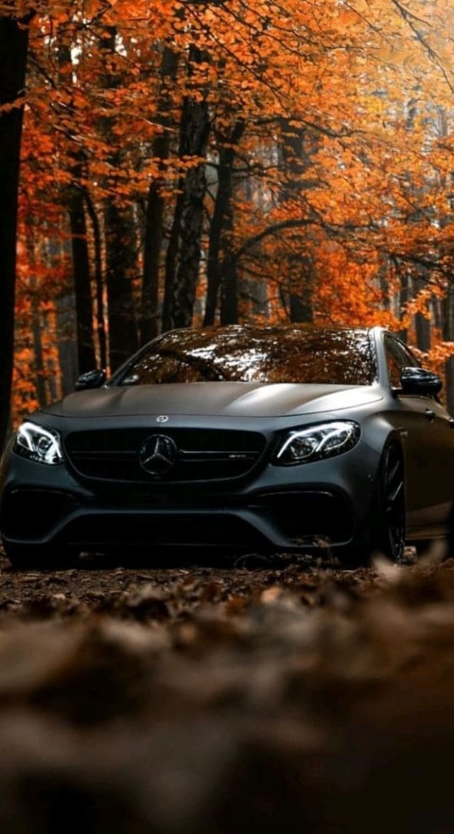 Hình nền điện thoại siêu xe màu đen đi bên hàng cây lá đỏ vào thu đẹp mắt