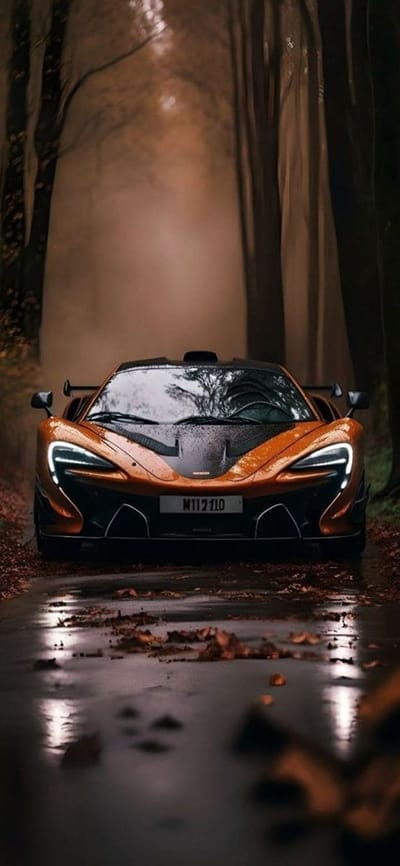 Hình ảnh siêu xe đi trên con đường mưa và hai hàng cây lá đổ làm hình nền điện thoại