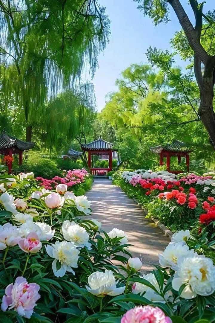 Hình ảnh con đường được phủ đầy bởi cây xanh và hoa