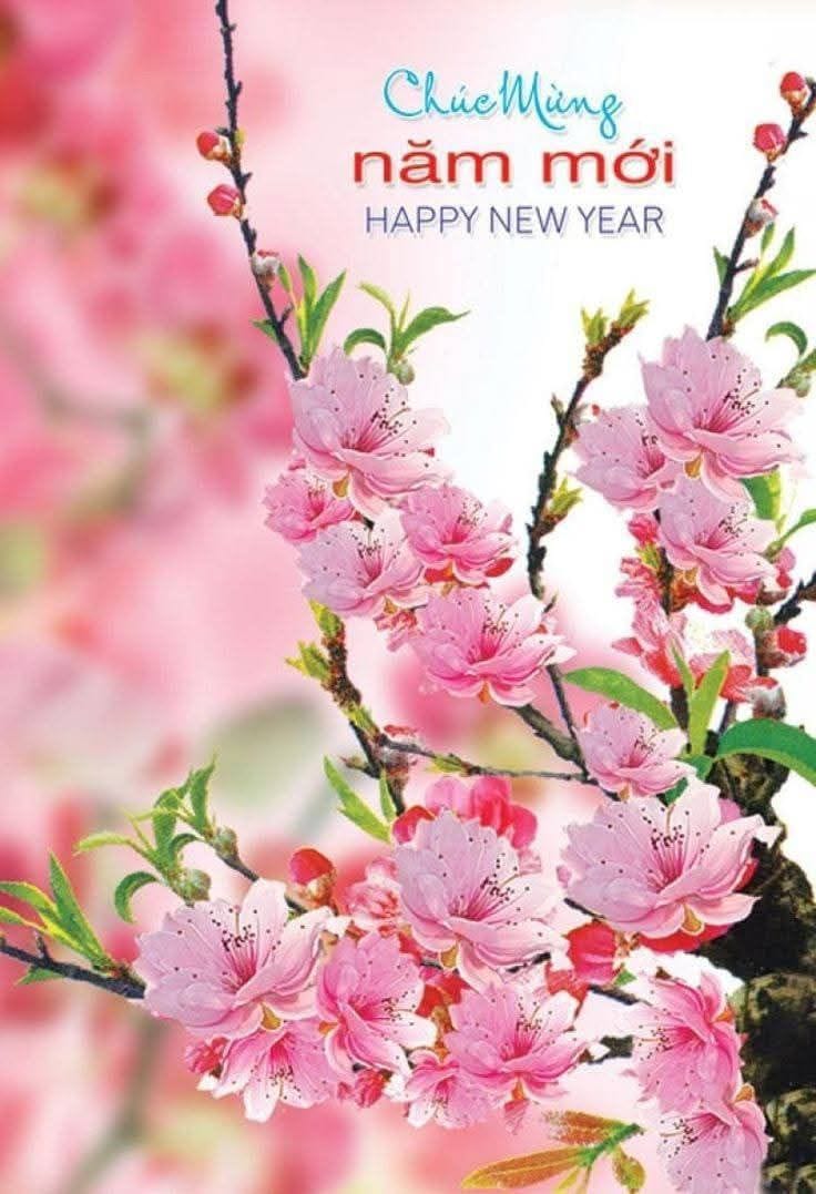 Hình ảnh cành hoa anh đào tuyệt đẹp chúc mừng năm mới