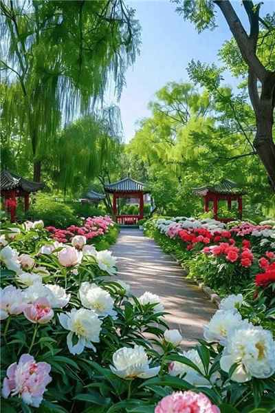 Hình ảnh con đường được phủ đầy bởi cây xanh và hoa