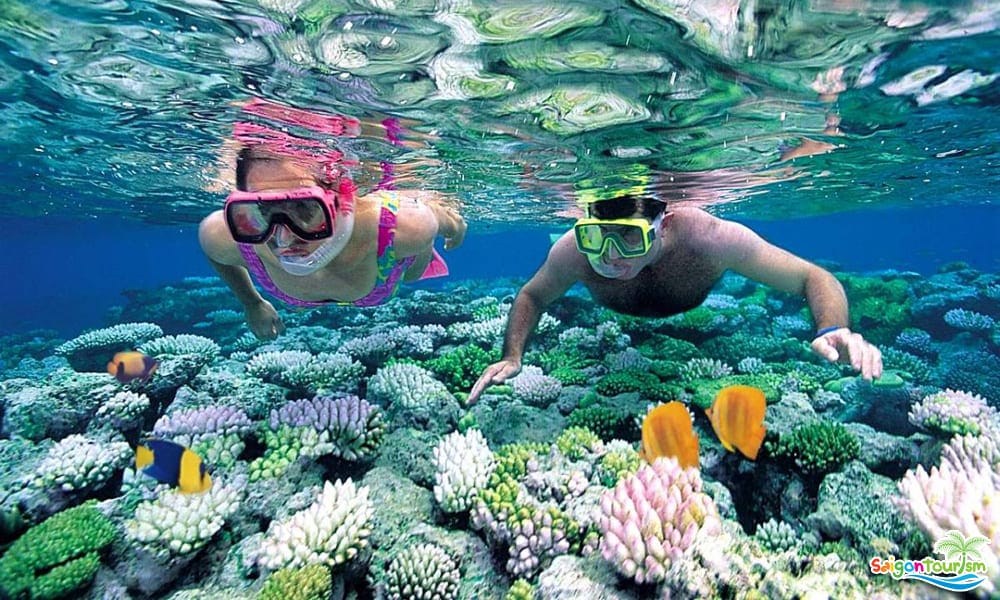 địa điểm du lịch nổi tiếng nhất ở Việt Nam