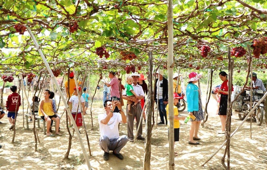 địa điểm du lịch nổi tiếng nhất ở Việt Nam