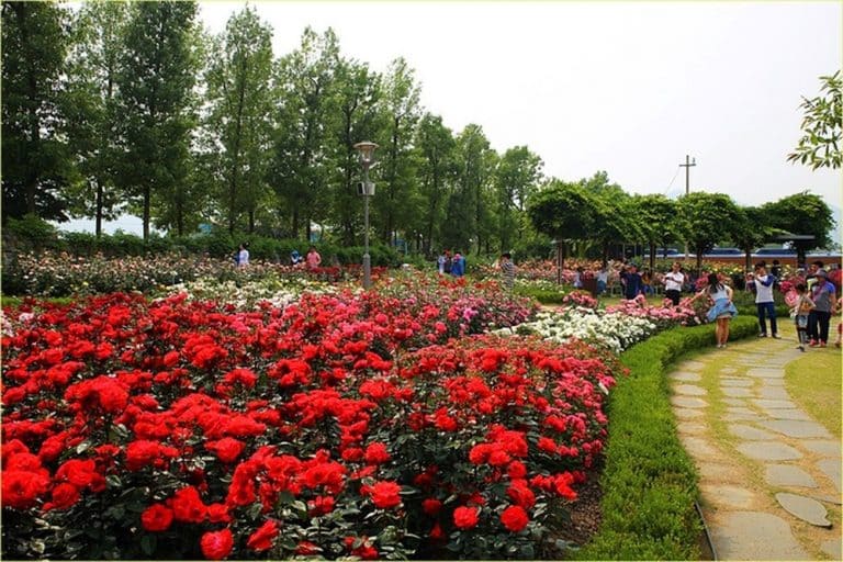 địa điểm du lịch nổi tiếng nhất ở Việt Nam