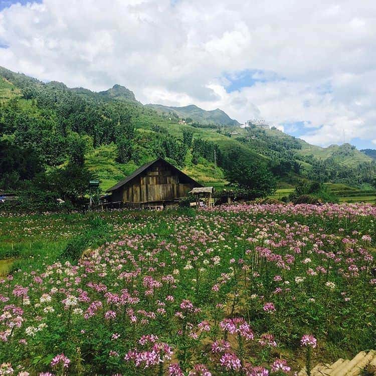 địa điểm du lịch nổi tiếng nhất ở Việt Nam