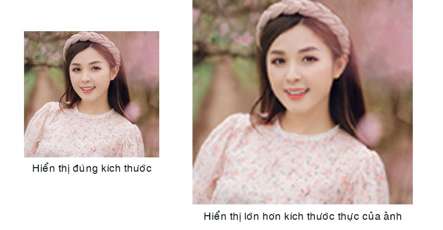 Hiển thị ảnh