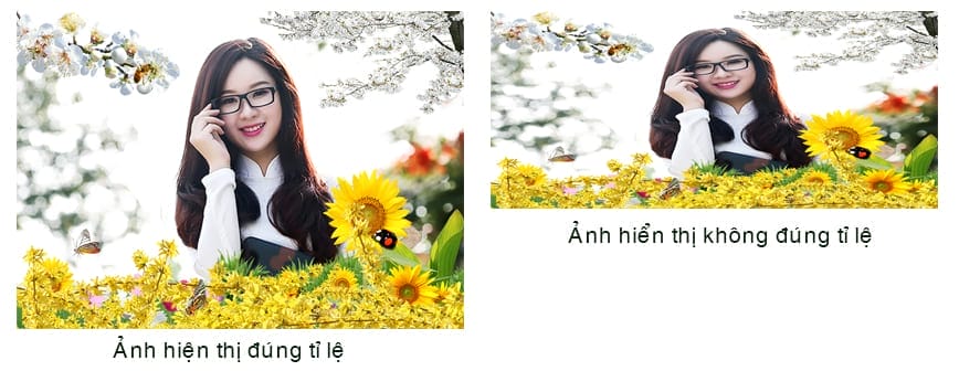 Tỉ lệ hiển thị hình ảnh