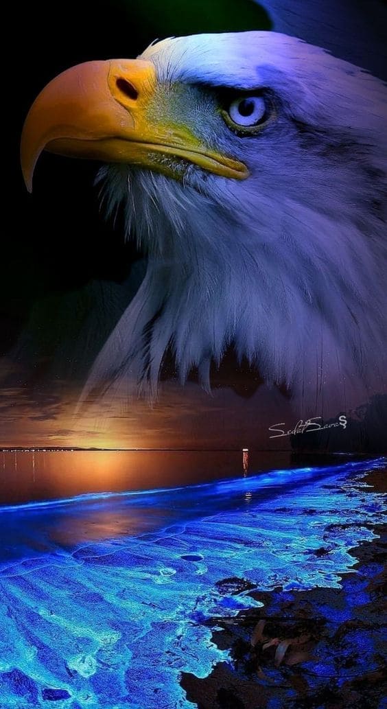 Tổng hợp hình nền điện thoại con vật, linh vật tuyệt đẹp 6