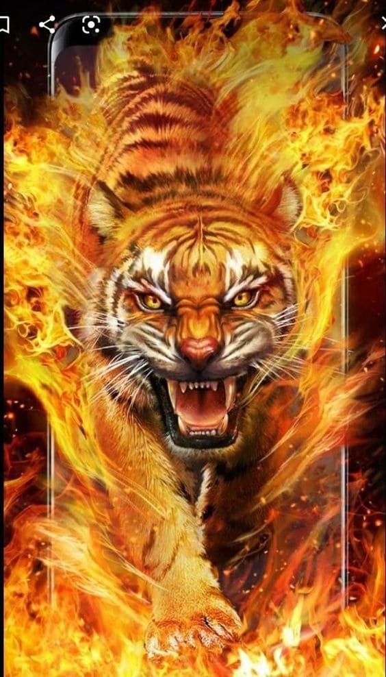 Tổng hợp hình nền hổ tuyệt đẹp dùng cho điện thoại 6