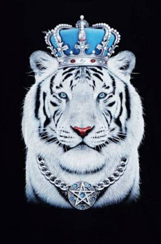 Tổng hợp hình nền hổ tuyệt đẹp dùng cho điện thoại 12