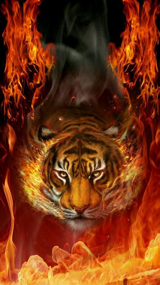 Tổng hợp hình nền hổ tuyệt đẹp dùng cho điện thoại 22