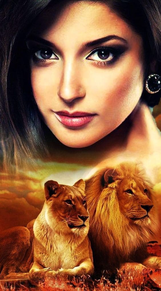 Top hình nền sư tử 4k tuyệt đẹp cho điện thoại 4