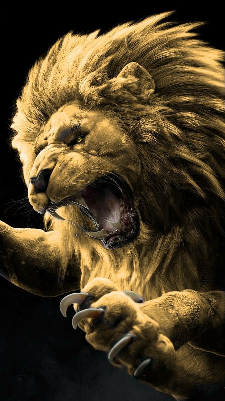 Top hình nền sư tử 4k tuyệt đẹp cho điện thoại 18