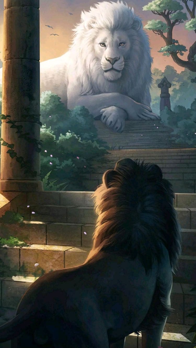 Top hình nền sư tử 4k tuyệt đẹp cho điện thoại 20