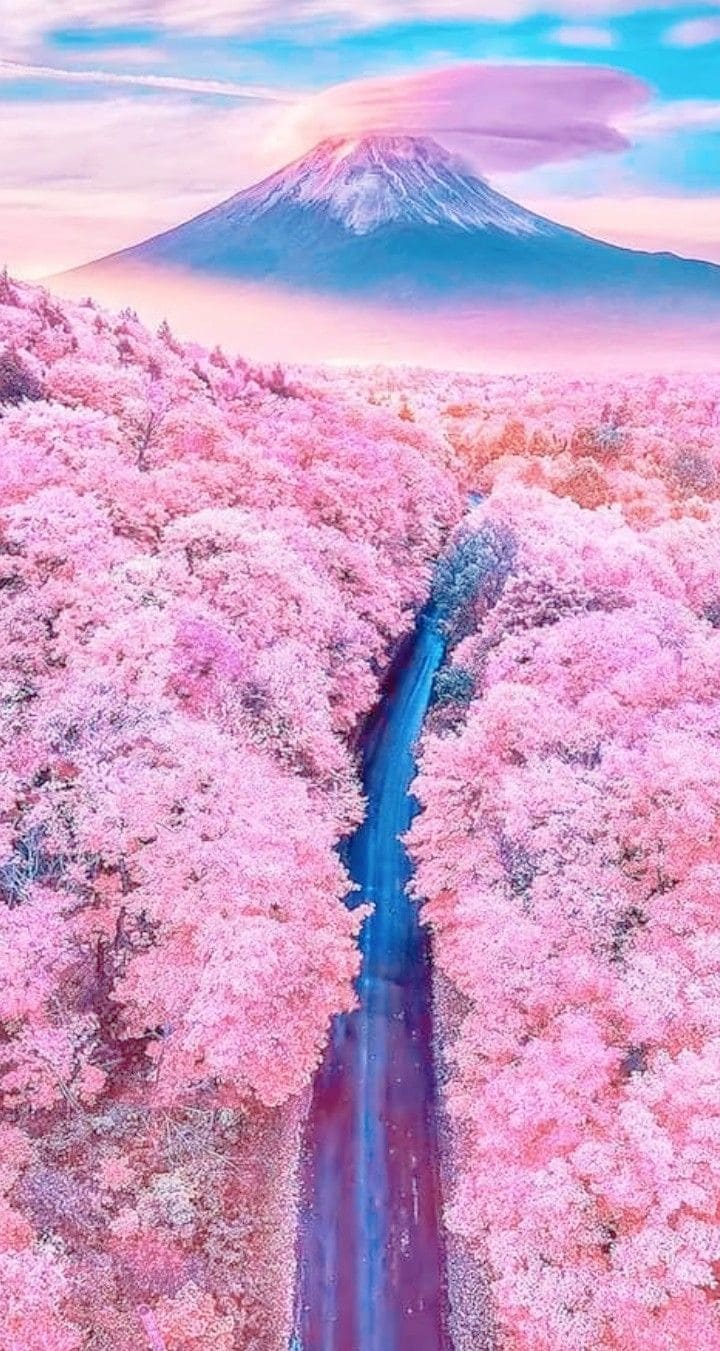 Tổng hợp những hình nền đẹp nhất cho điện thoại 19