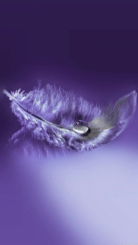 Tổng hợp những hình nền đẹp nhất cho điện thoại 49