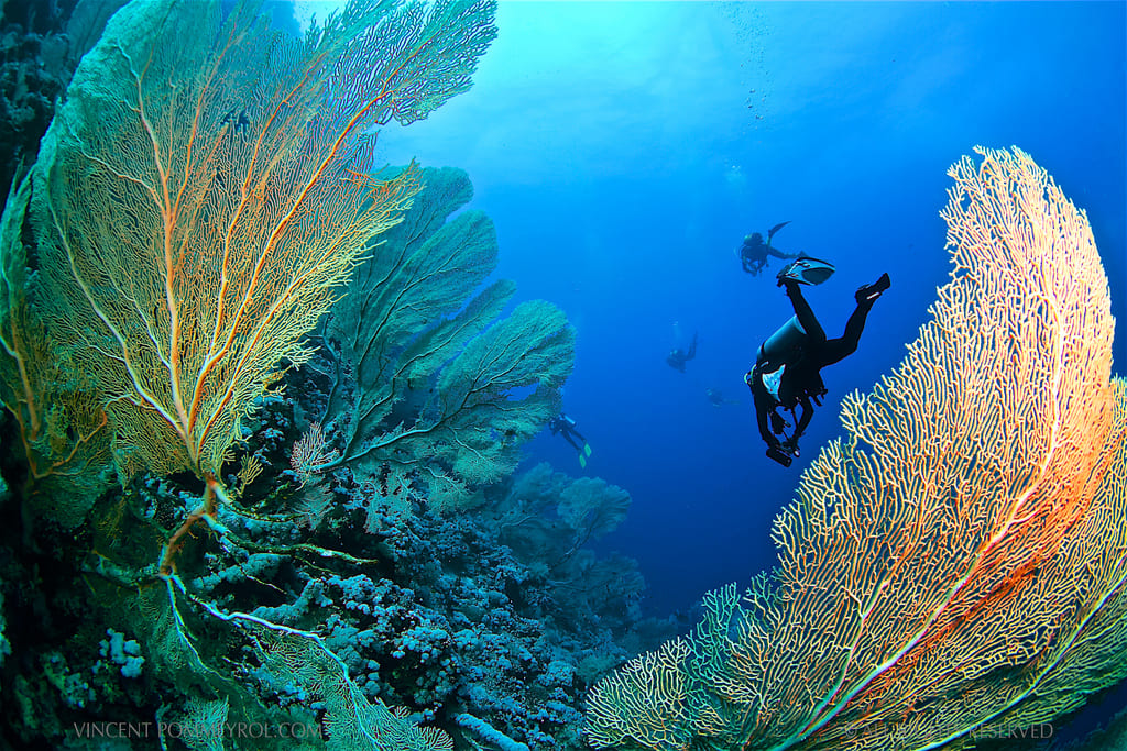 Tổng hợp hình nền máy tính đẹp, độc đáo nhất hiện nay 47