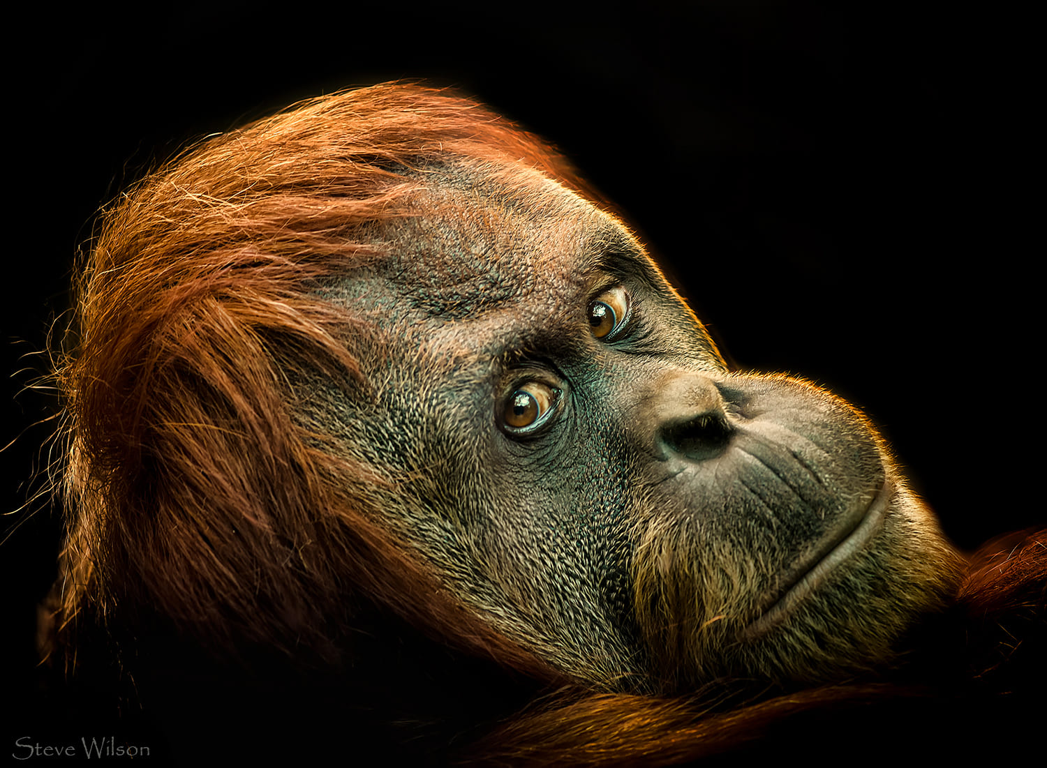 Tổng hợp hình nền máy tính đẹp, độc đáo nhất hiện nay 49