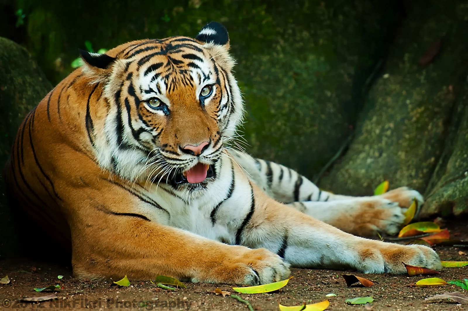 Tổng hợp hình nền máy tính đẹp, độc đáo nhất hiện nay 53