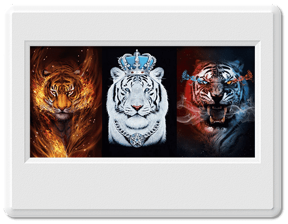 Tổng hợp hình nền hổ tuyệt đẹp dùng cho điện thoại