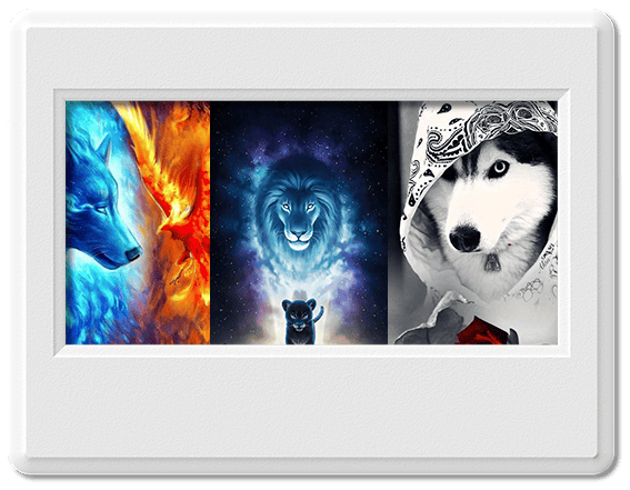 Tổng hợp hình nền điện thoại con vật, linh vật tuyệt đẹp