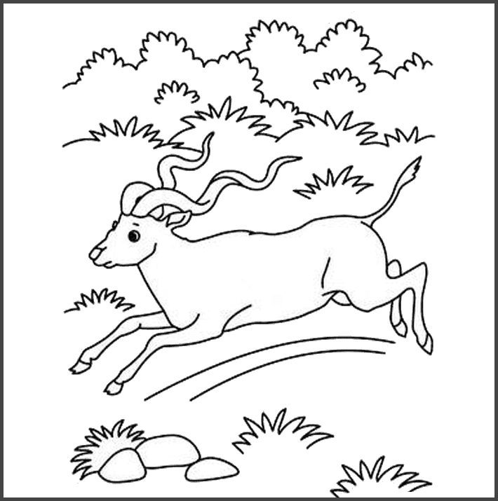 Tổng hợp tranh tô màu đẹp nhất cho bé 21