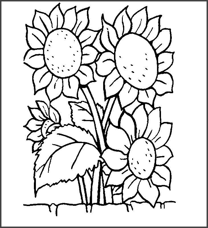 Tổng hợp tranh tô màu đẹp nhất cho bé 31