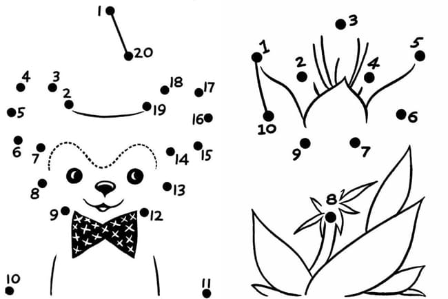 Tranh tô màu nối số