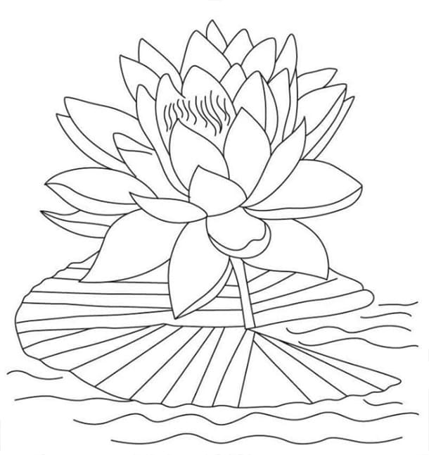 Tranh tô màu bông hoa cho bé 10