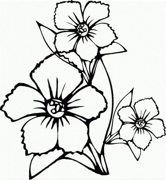 Tranh tô màu bông hoa cho bé 13