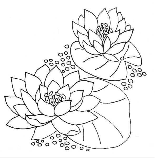 Tranh tô màu bông hoa cho bé 14