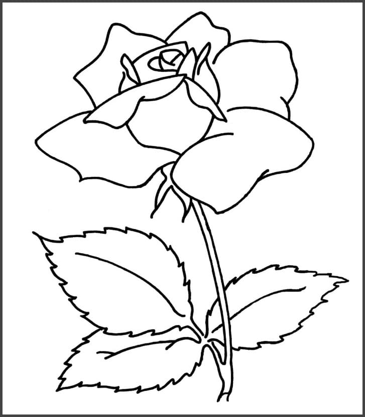 Tranh tô màu bông hoa cho bé 20