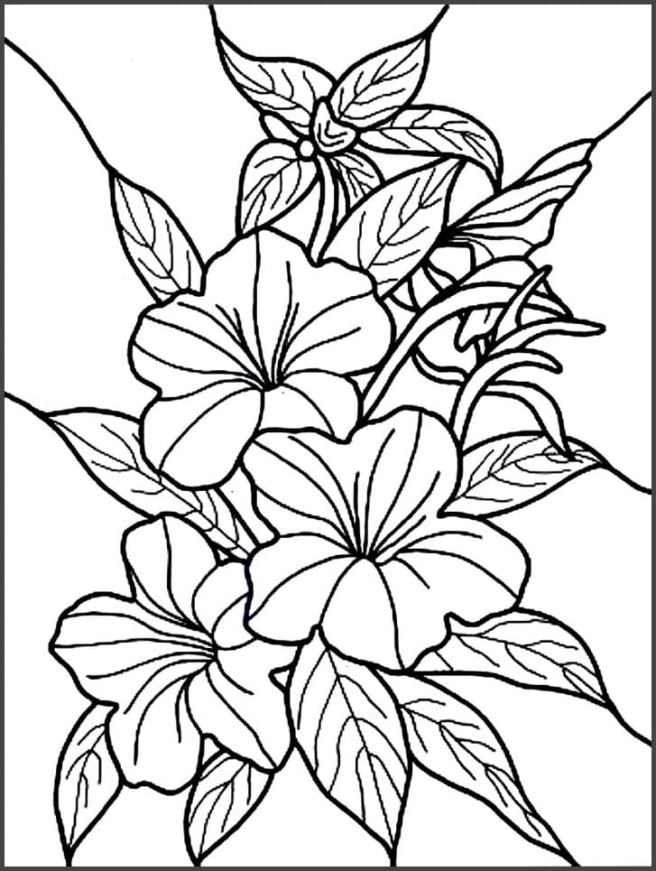 Tranh tô màu bông hoa cho bé 21