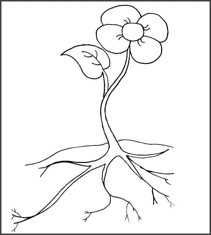 Tranh tô màu bông hoa cho bé 23