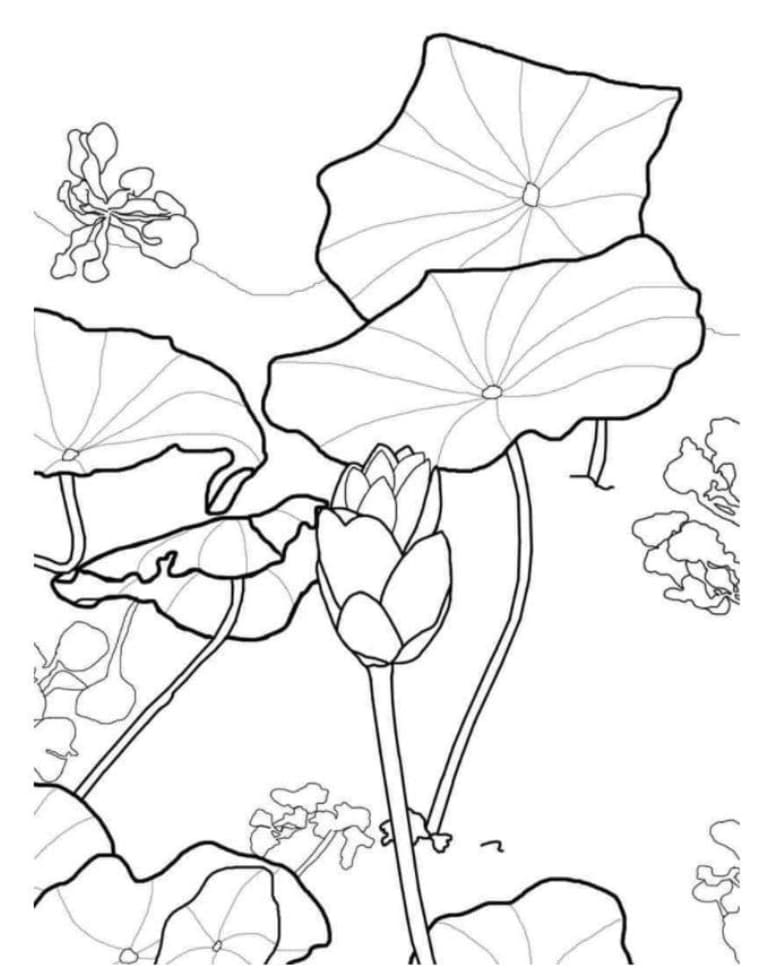 Tranh tô màu bông hoa cho bé 30