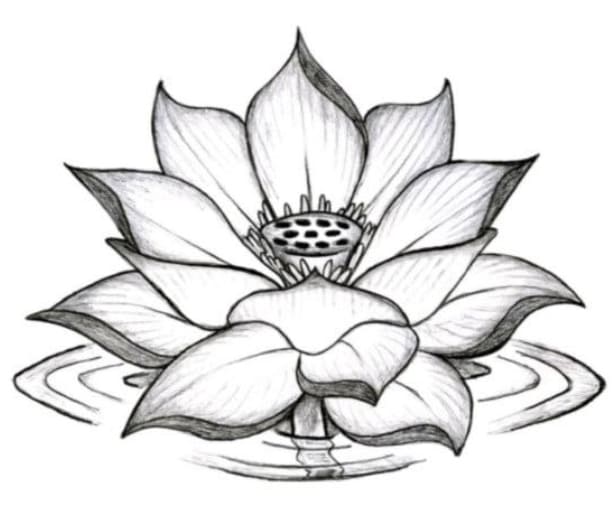 Tranh tô màu bông hoa cho bé 31