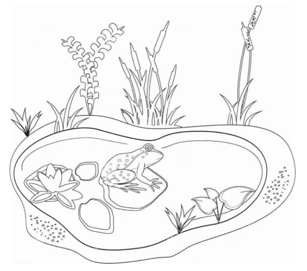 Tranh tô màu bông hoa cho bé 32