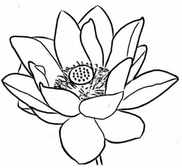 Tranh tô màu bông hoa cho bé 33