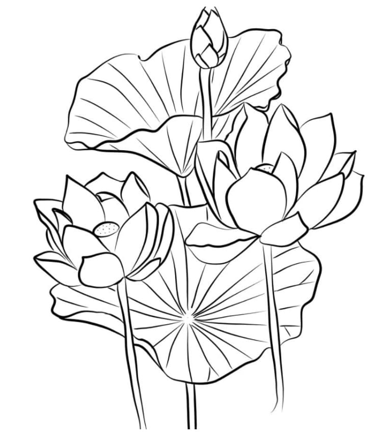 Tranh tô màu bông hoa cho bé 35