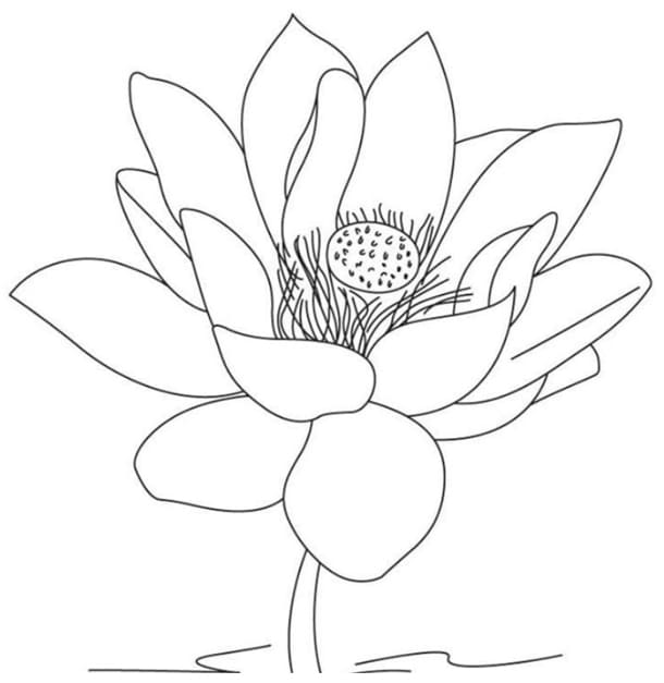 Tranh tô màu bông hoa cho bé 37