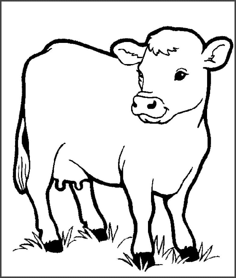 Tranh tô màu con vật cho bé 10