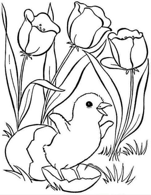 Tranh tô màu con vật cho bé 22