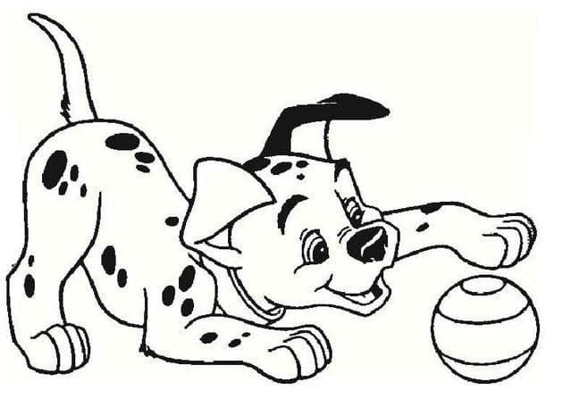 Tranh tô màu con vật cho bé 28