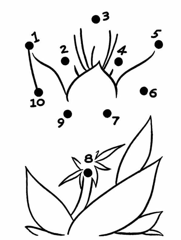 Tranh tô màu nối số 11