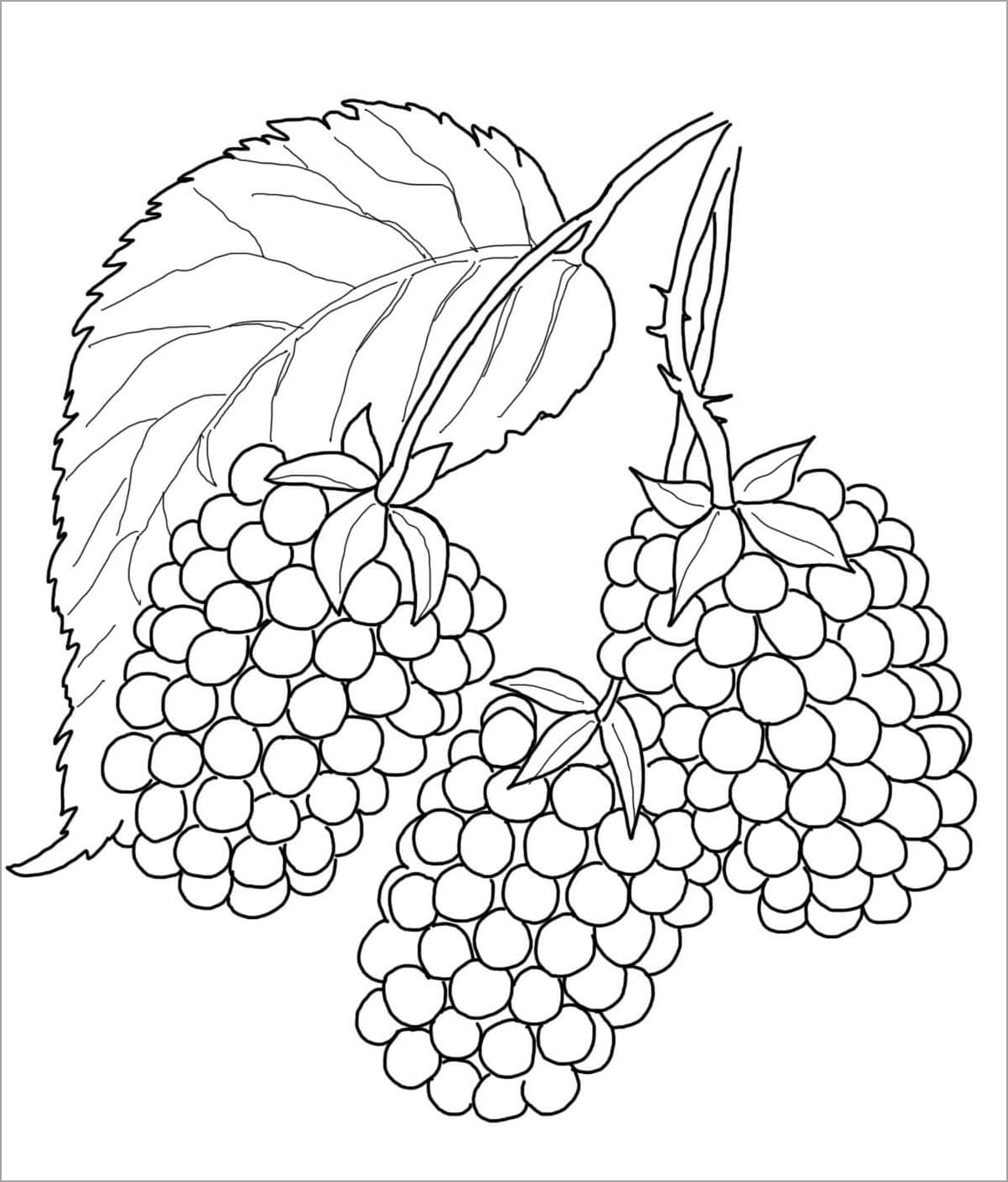 Tranh tô màu trái cây 1